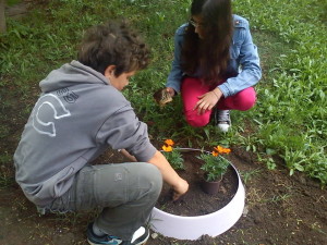 946984_597453476933698_312812337_n