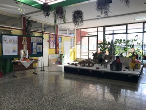 IMG-1416