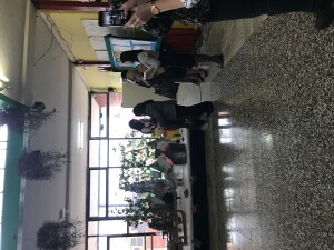 IMG-1419