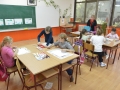 lan_8309_resize